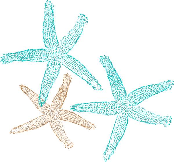 Starfish Clip Art Coral Color - Free Clip Art Starfish (600x559)