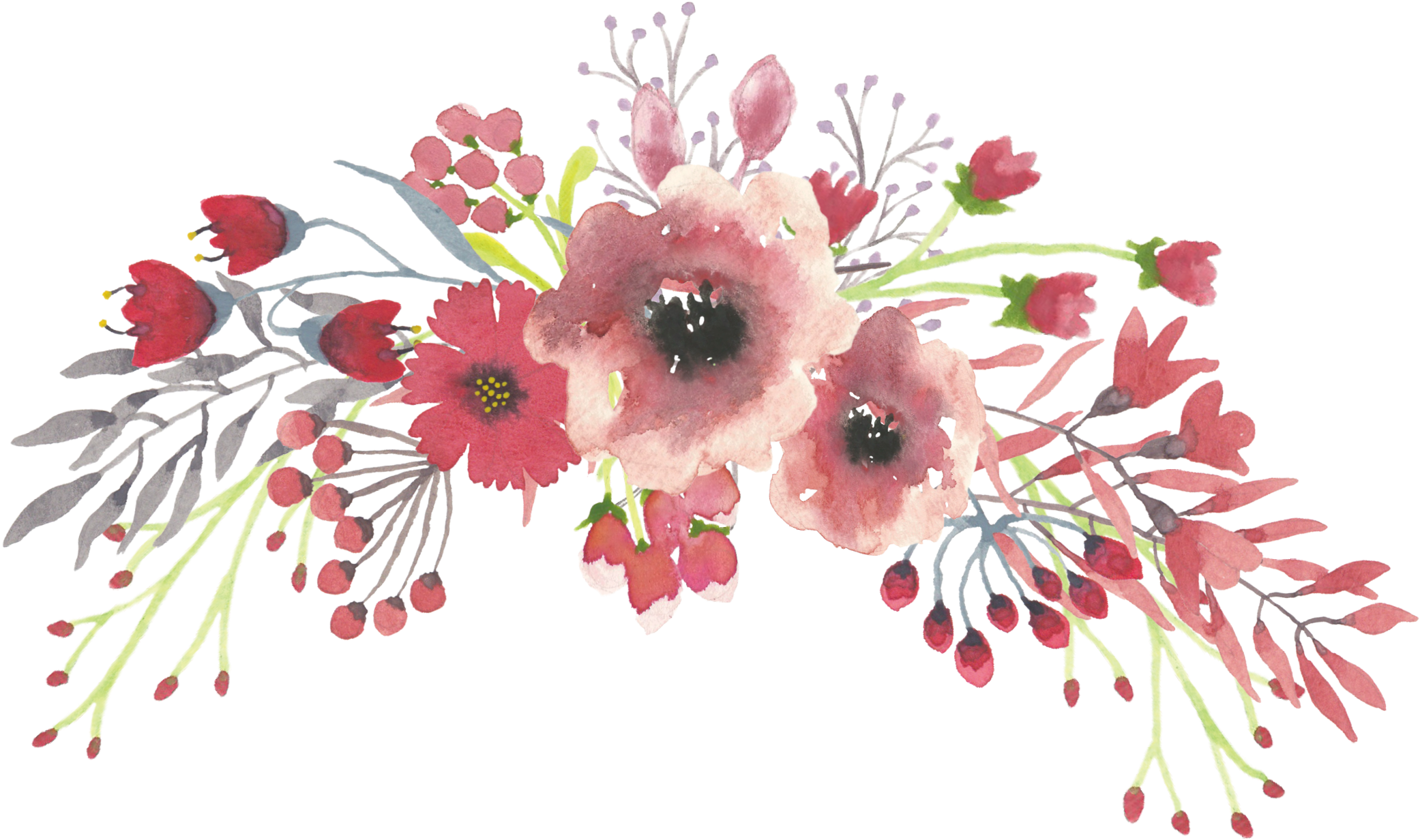 Com Wp Content Uploads 2017 02 Coral Spray Lollyslane - Watercolor Flowers Transparent Background (2400x1801)