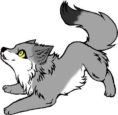 Gray Wolf Clipart Wolf Pup - Cute Wolf Pup Drawing (400x400)