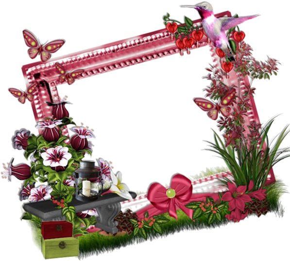 Cadres Et Bordures - Artificial Flower (600x600)
