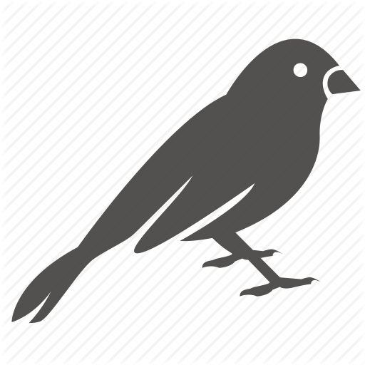 Couple Of Love Birds - Canary Bird Icon Png (512x512)