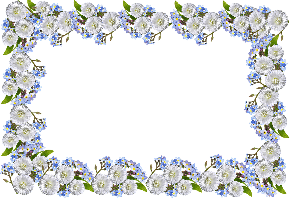 Frame, Daisies, Forget Me Not - Transparent Forget Me Not Flower Border (960x662)