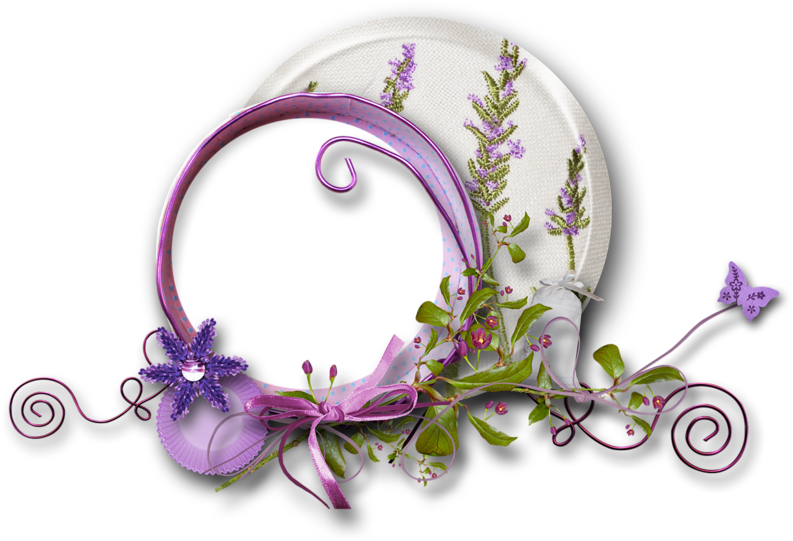 Cadres Frames Tubes - Bellflower (800x561)