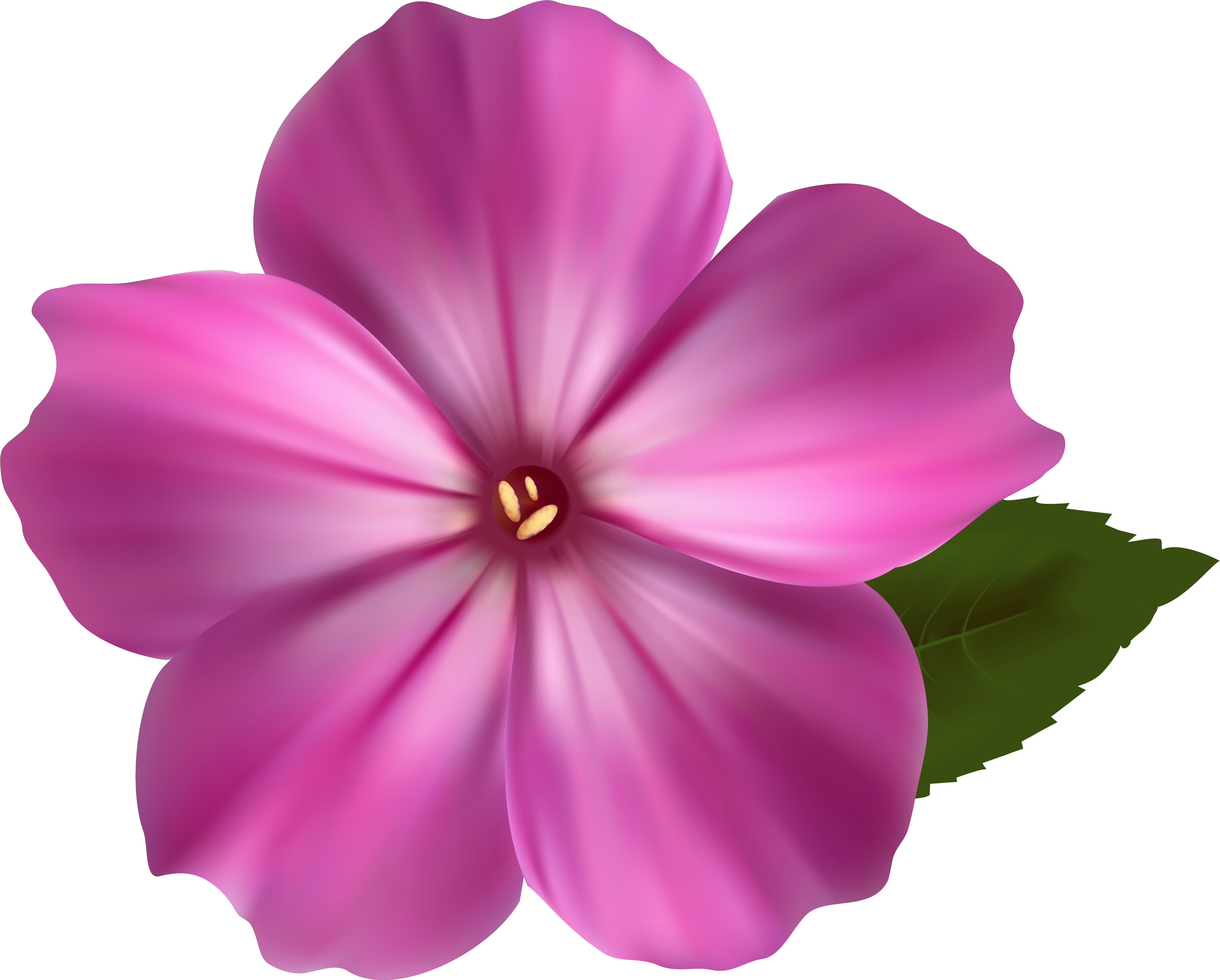 Flower Png Image Pink Clipart Png Images - Pink Flower Png Clipart (6278x5088)