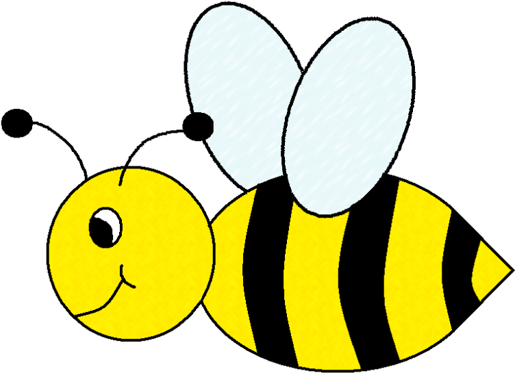 Bees Clipart Bumblebee - Bee Clip Art Transparent (800x577)