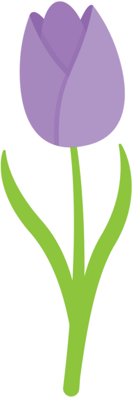 Tulip Purple - Flower (266x800)