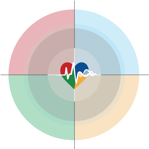 Cardiovascular Pharmacogenomics Test Pgxcardio™ - Admera Health (489x501)