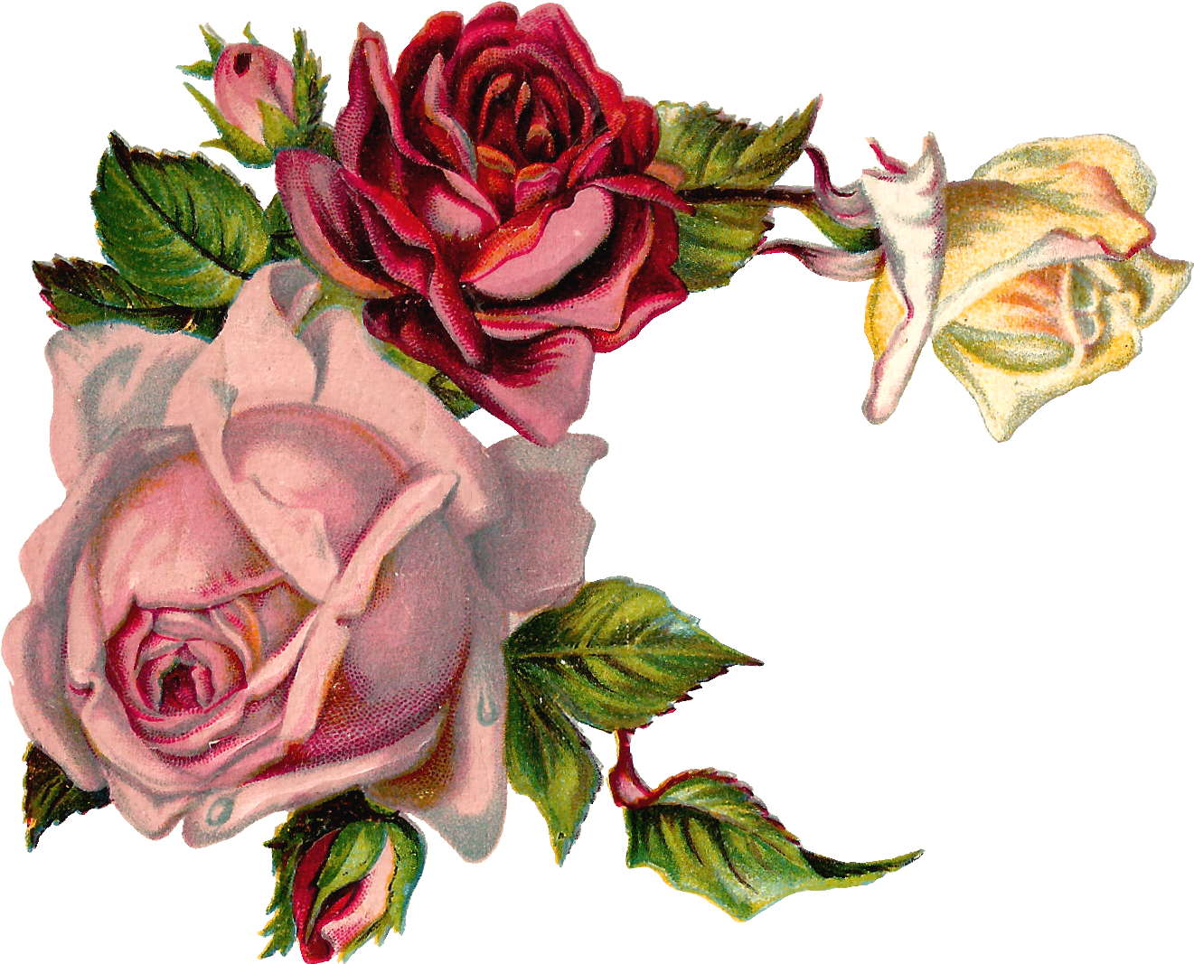 Free Digital Flower Pink Rose Corner Design - Vintage Flower Corner Png (1528x1293)