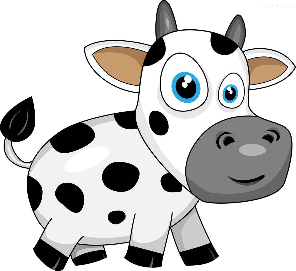 Cattle Calf Drawing Illustration - Cartoon Calf (1000x914)