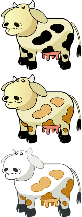 Cartoon Cow Pics 28, - กา ตู น รูป วัว (360x720)