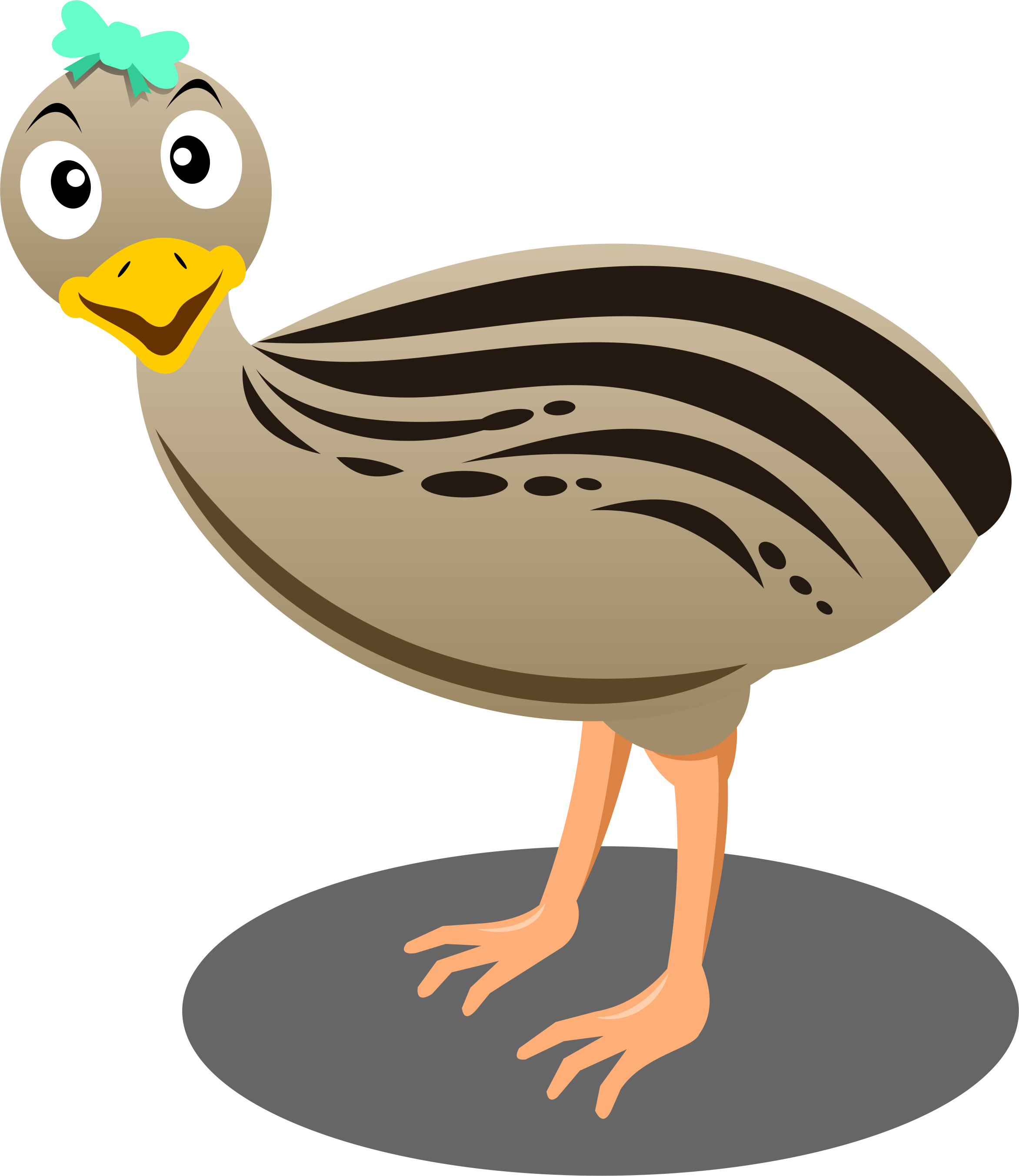 Cartoon Bird Emu Common Ostrich Clip Art - Cartoon Bird Emu Common Ostrich Clip Art (2344x2706)