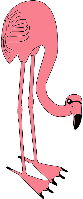 Animal Bird, Flamingo, Long, Standing, Eating, Neck, - Custom Pink Flamingo Pillow Case (320x640)