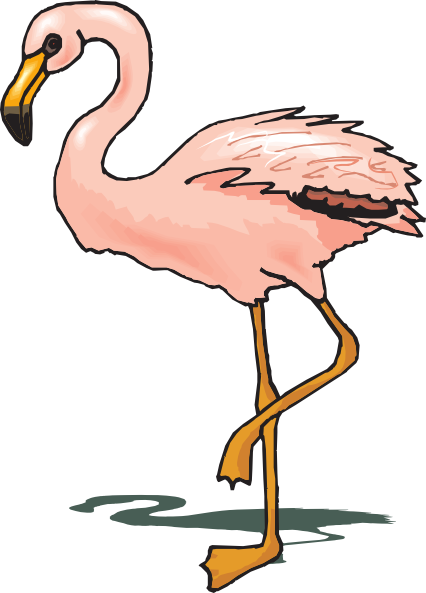 Standing Flamingo Clip Art - Flamingo Cliparts (426x593)