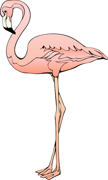 Free To Use &, Public Domain Flamingo Clip Art - Clipart Flamingo (360x597)