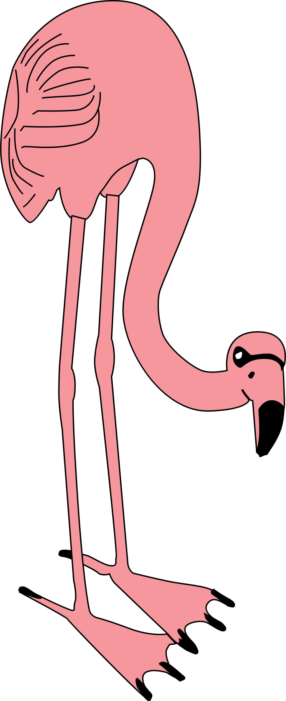 Hysteria - Clipart - Custom Pink Flamingo Shower Curtain (512x1255)