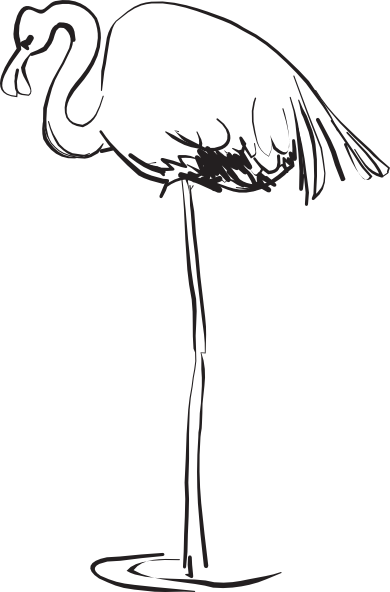 Flamingo Outline Art Clip Art - Flamingos (390x592)