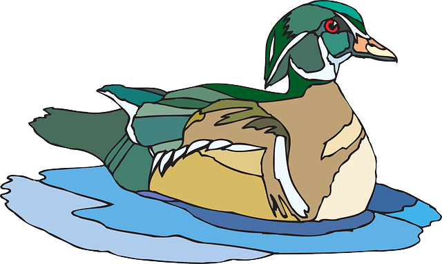 Swimming Brown And Green Duck Clip Art At Clker - Duck In Water Clipart (640x382)