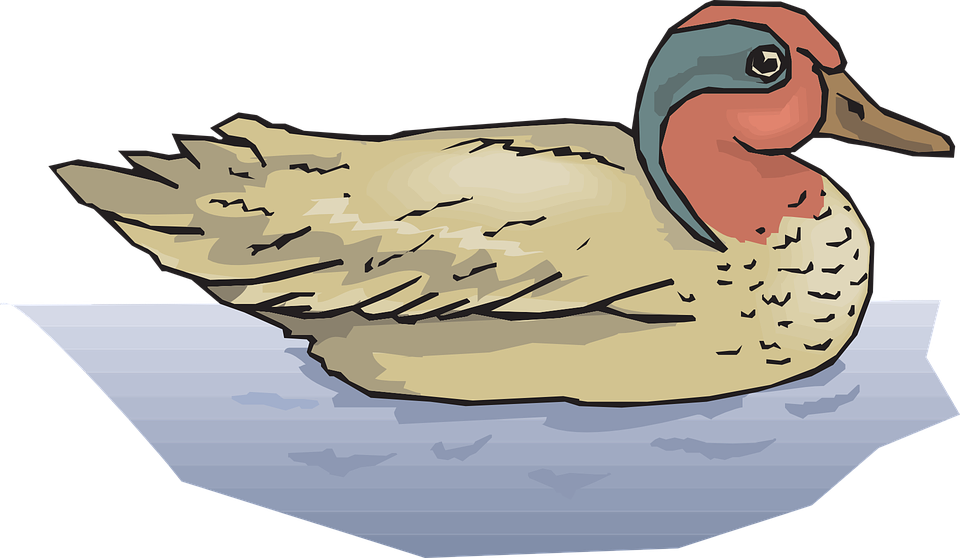 Free Vector Graphic - Mallard Ducks In Water Clipart (960x558)