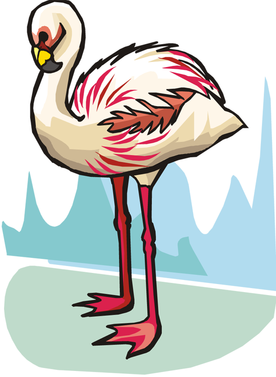 Related Pictures Funny Flamingo Bird Clipart Graphic - Flamingo (549x750)