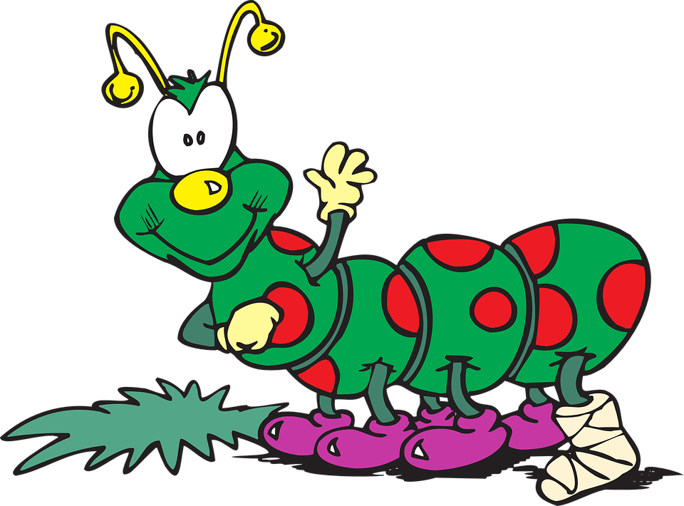 Bug break