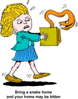 Snake Clip Art - Bitten By A Snake Clipart (315x400)