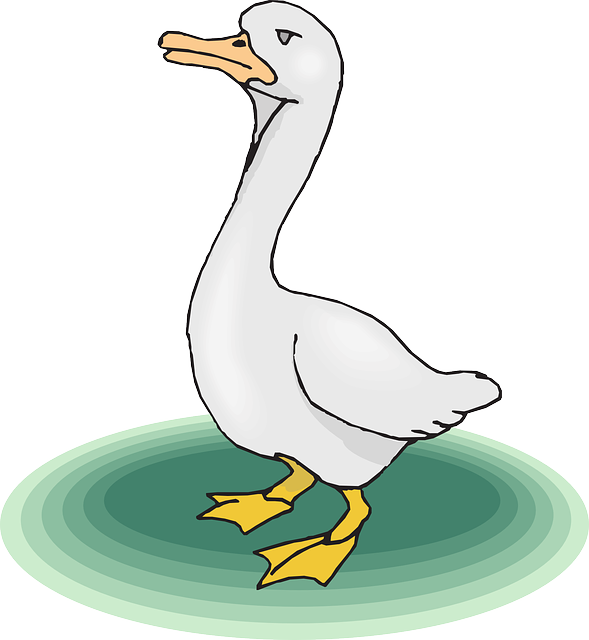 Angry, Cartoon, Bird, Grass, Wings, Upset, Goose - White Goose Throw Blanket (589x640)