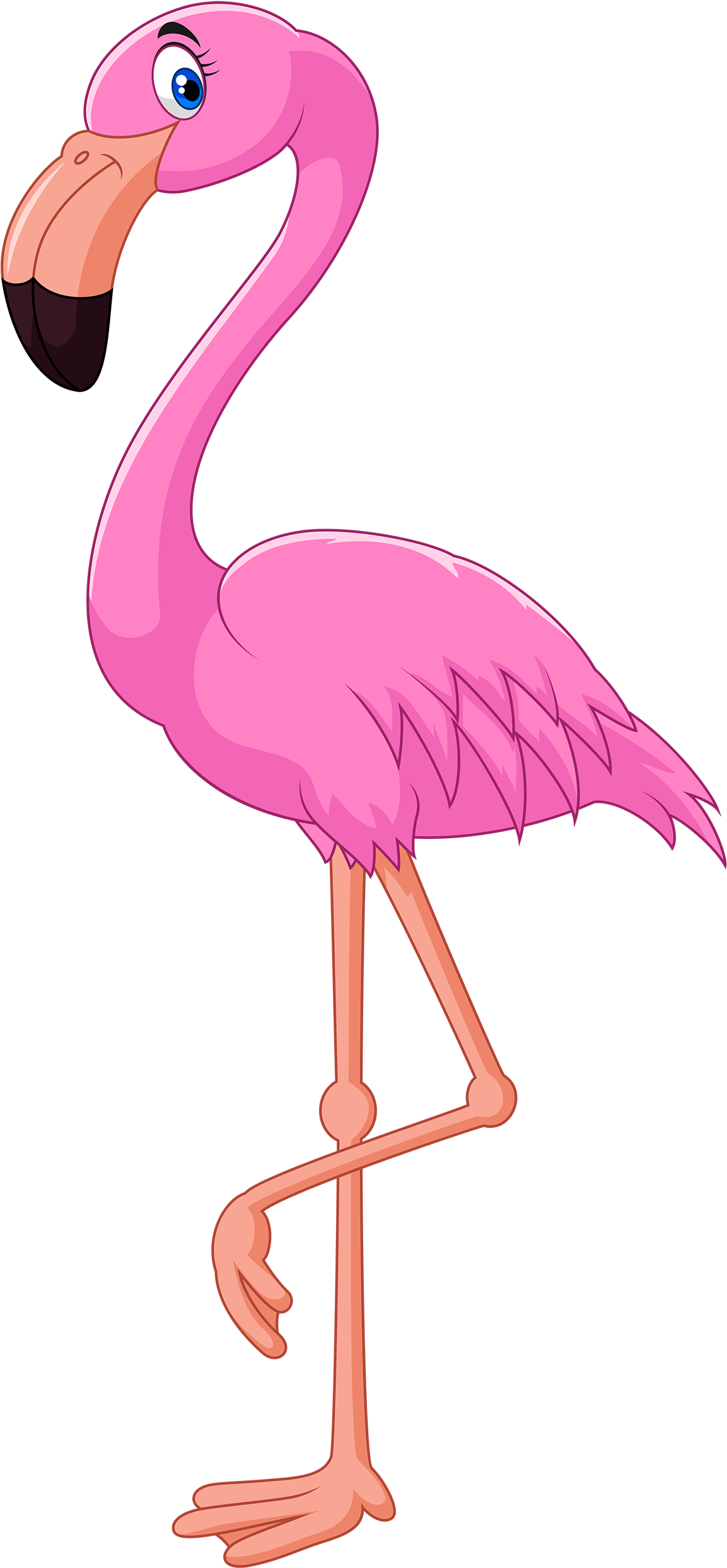 Pink Flamingo Clipart Web Clipart - Cartoon Flamingo (1165x2500)