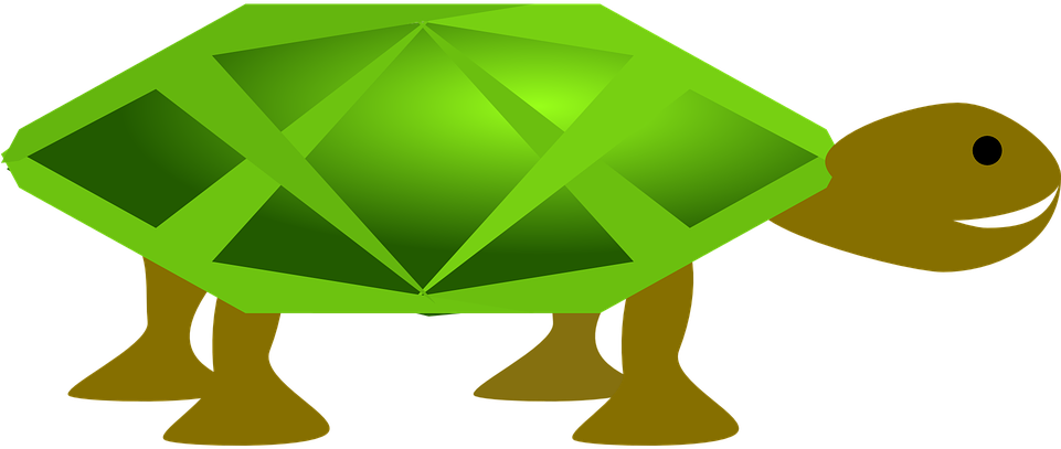 Turtle Illustration 24, Buy Clip Art - Turtle Clip Art (1798x750)