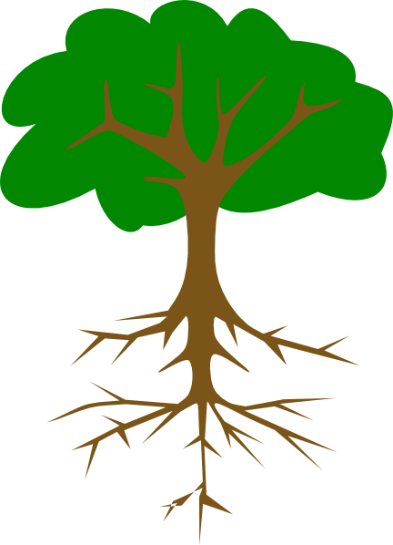 Tree With Long Taproot Clip Art At Clker - Tree Clip Art (432x598)