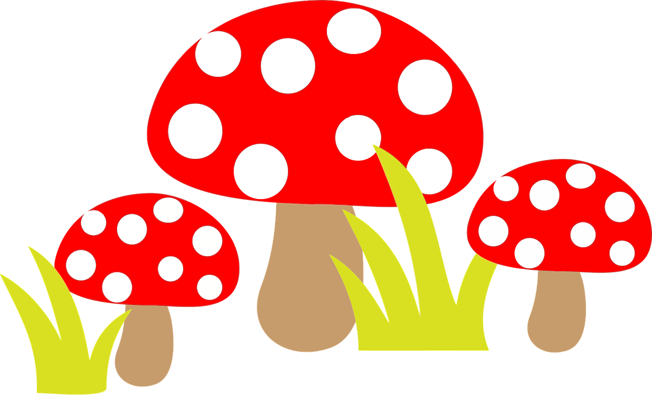 Cartoon Clipart Mushroom - Mushroom Clip Art (1280x776)