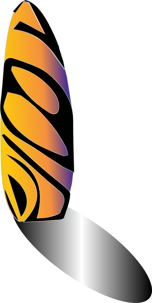 Water Skiing Board Icon Clipart - Skateboard Deck (512x1017)