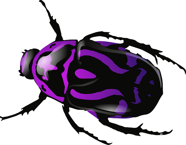 Cartoon, Purple, Bugs, Bug, Insect, Beetle, Insects - Purple Bug (640x498)