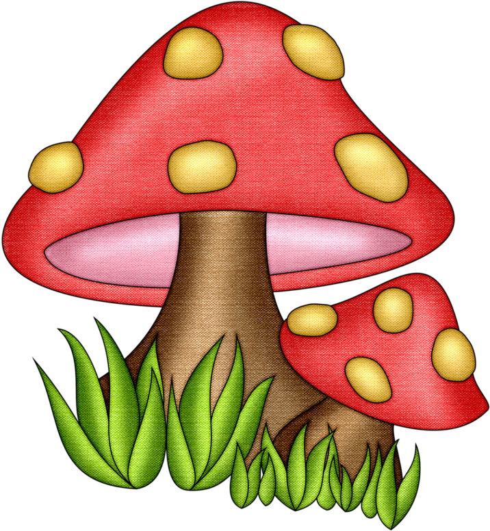 Pps Shrooms - Mushrooms Clipart (744x800)