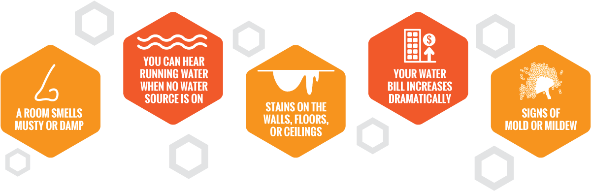 Fsg Water Leak Detection - Leak Detection In Water Supply Pipes (1200x388)