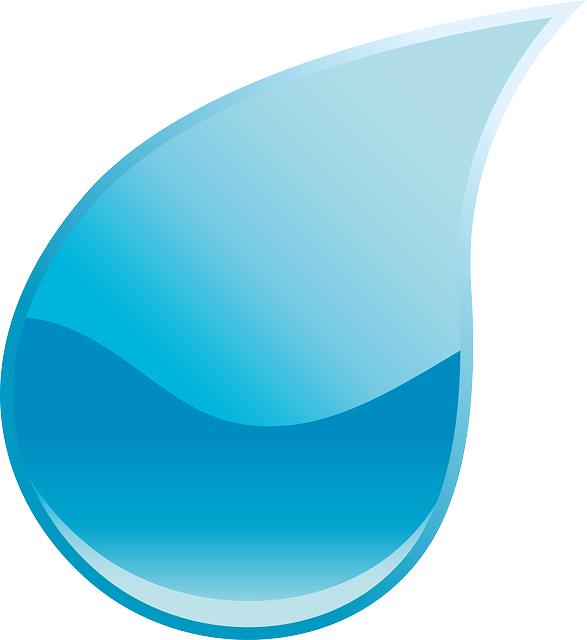 In Fact The Water That Falls As Rain On Costa Rica Gota De Agua Vector Png 587x640 Png Clipart Download