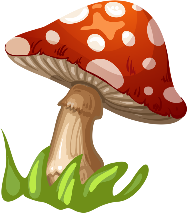 Fungus Mushroom Clip Art - Fungus Mushroom Clip Art (737x800)