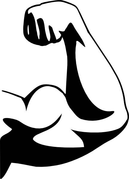 Biceps Png (432x596)