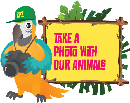 Photo-session At Emirates Park Zoo - Park (450x360)