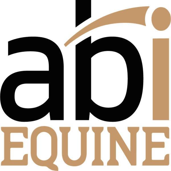 Abi Equine Is Proud To Be The Exclusive Arena Drag - Horse (600x600)