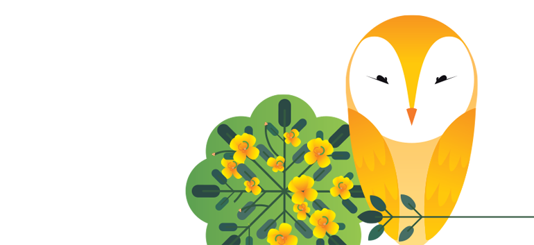 Conserving The Nature - Roundtable On Sustainable Palm Oil (769x376)