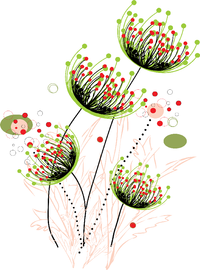 Flores Ilustraciones En Png Para Artesanía Y Diseños - Dandelion (665x900)