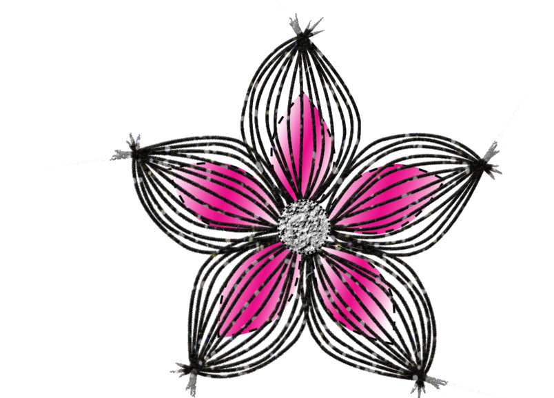 Colored Doodle Flower By Thecreativedoodle - Color Flower Doodles Transparent (1024x576)