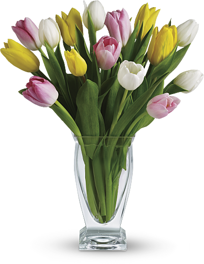 Shop For Tulips - Tulips In A Vase (400x519)