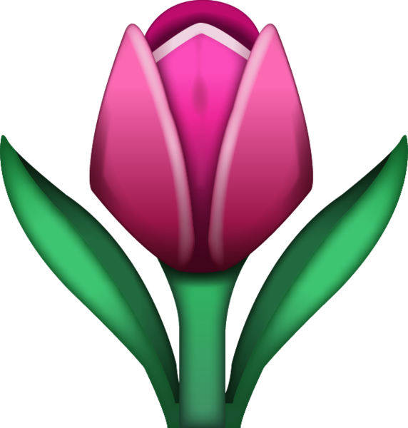 Tulip Emoji (572x600)