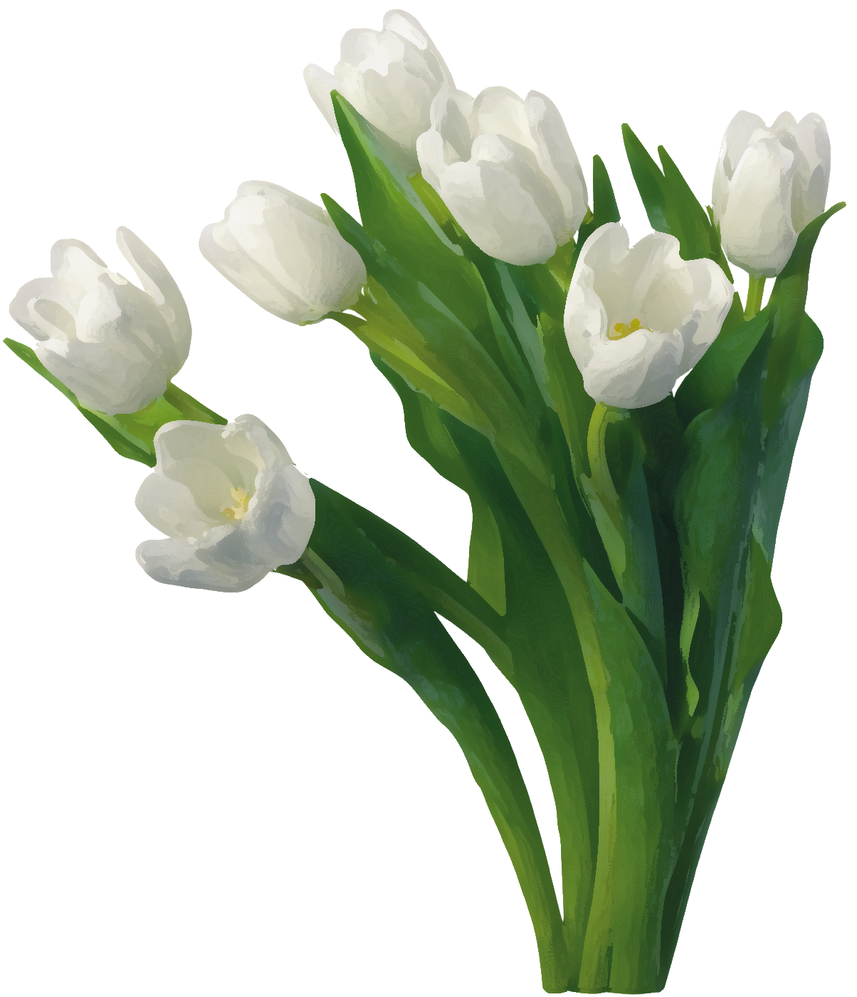 White Roses Images Good Morning (1204x1400)