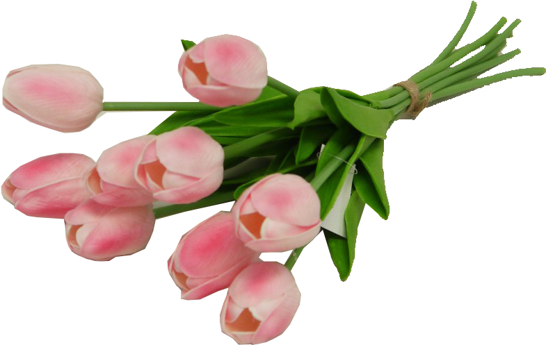 Pink Tulip Bundle - Tulip (796x520)