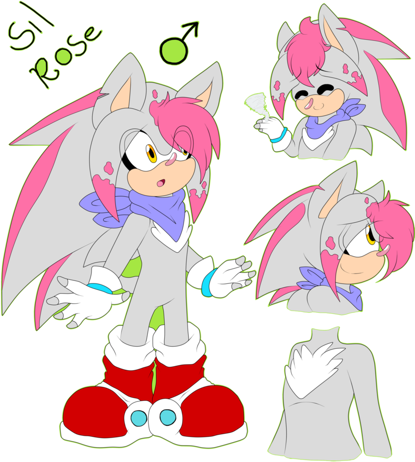 Sil Rose The Hedgehog By Watergirl93 - Cartoon (841x950)