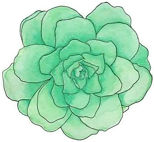 Doodleflower Flower Doodles Ftestickers Freetoedit - Mint Green Flowers Png (500x464)