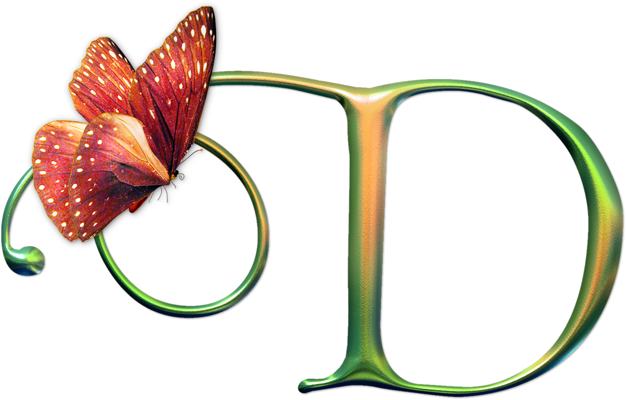 D - Chữ D Nghệ Thuật (1237x790)