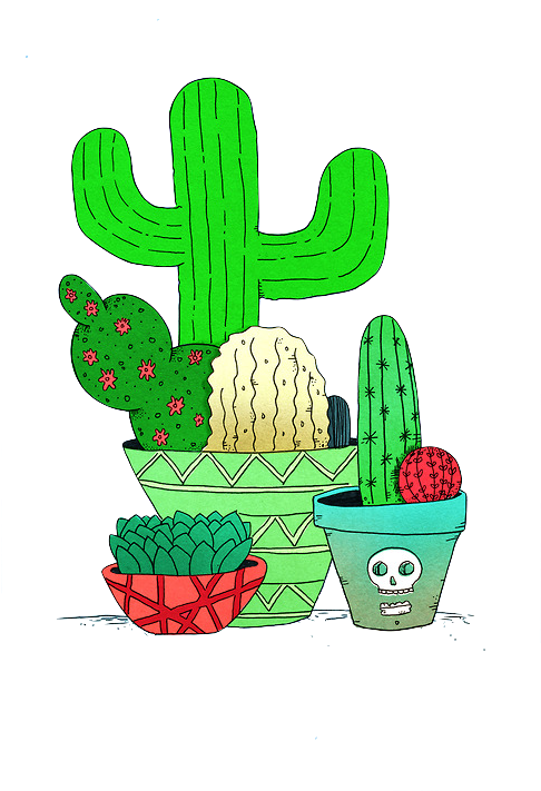 Tumblr Transparent Overlay - Overlays Transparent Tumblr Cactus (485x750)